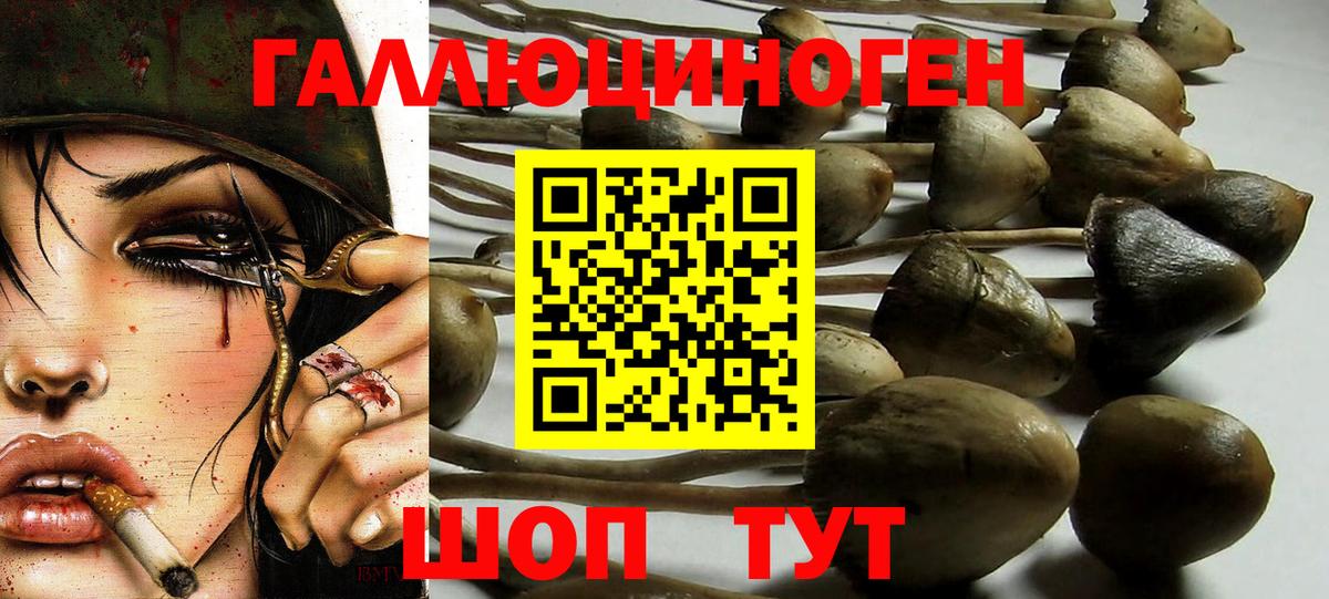 Коммунар  Галлюциногенные грибы мухоморы  Псилоцибиновые грибы GOLDEN TEACHER  Вход с VPN 